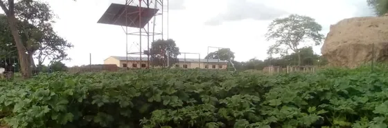 Hamunyangwa School