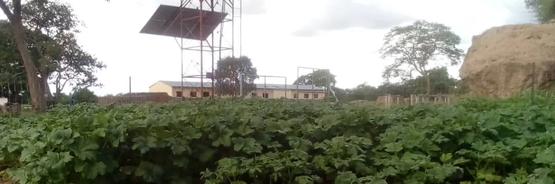 Header for Hamunyangwa School