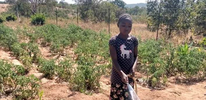 Header for Malomo School